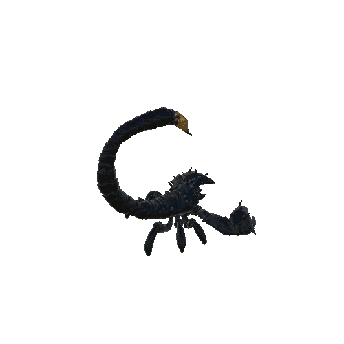 scorpion1_skin3_basemesh Variant